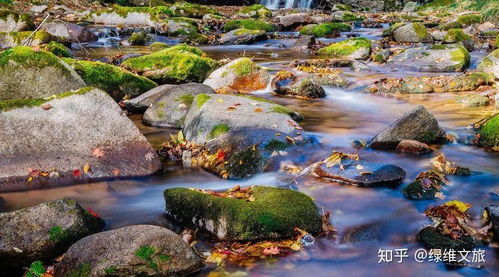 新時代,景區(qū)發(fā)展創(chuàng)新方向在哪里