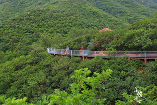 遼寧這個景區(qū)有條 中華孝道 ,讓老人游覽更方便,受到網友點贊