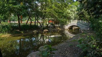 深圳最適合一日游的免費(fèi)景點(diǎn),各區(qū)都有!不要再說(shuō)周末沒(méi)地方去啦.