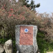 麻城龜峰山游玩-龜峰山門(mén)票多少錢(qián)/價(jià)格表-團(tuán)購(gòu)票價(jià)預(yù)定優(yōu)惠-景點(diǎn)地址在哪里/圖片介紹/參觀預(yù)約/旅游游覽順序及注意事項(xiàng)/營(yíng)業(yè)時(shí)間-【攜程】