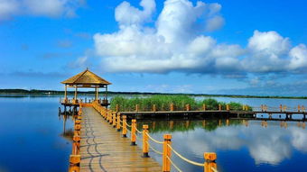 黑龍江興凱湖來(lái)漢推介避暑游 不一樣的江湖 引贊嘆