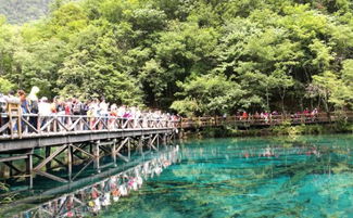 堵 堵 堵 四川的避暑圣地成了旅游爆款