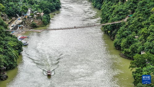 秋日峽谷景致怡人，園區管理服務提升游覽體驗