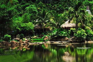 在溫暖保亭遇見那香山，探索大三亞旅游經濟圈的景區管理之道