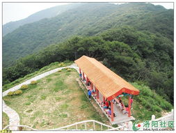 徒步游覽西鼎景區(qū) 東西區(qū)美景與園區(qū)管理服務(wù)體驗(yàn)