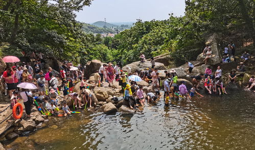 連云港市云臺山風(fēng)景名勝區(qū) 精細(xì)化園區(qū)管理服務(wù)，繪就山海文旅新畫卷
